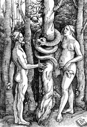 The Fall of Man, c.1514